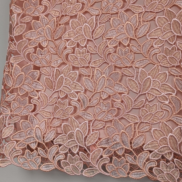 Lauren Ralph Lauren Sleeveless Lace Sheath Dress Peachy Pink Fully Lined - sz 8 - Picture 5 of 11